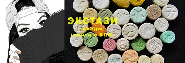 прущие грибы Ельня