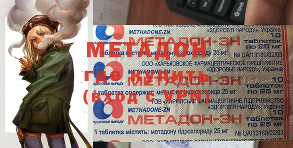 прущие грибы Ельня