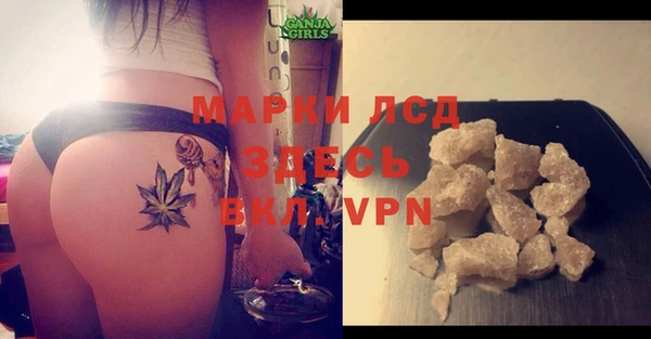 прущие грибы Ельня