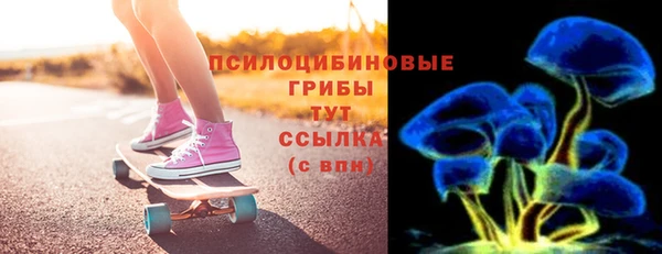 прущие грибы Ельня