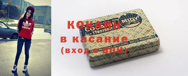 прущие грибы Ельня