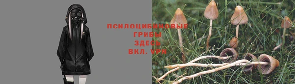 марки nbome Елизово