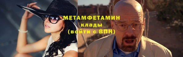 прущие грибы Ельня