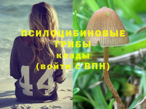 марки nbome Елизово