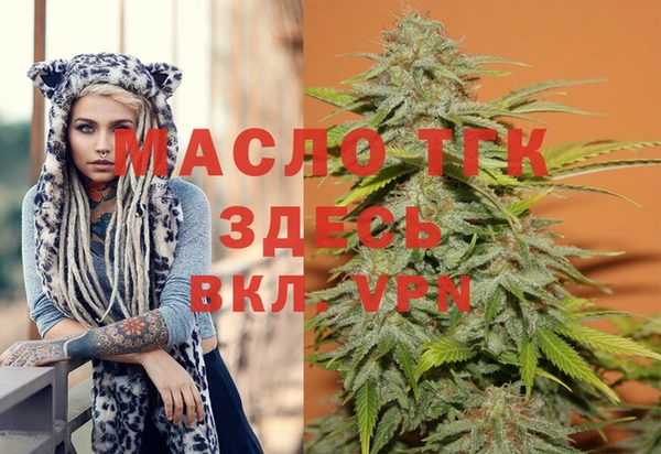 прущие грибы Ельня