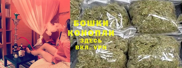 прущие грибы Ельня