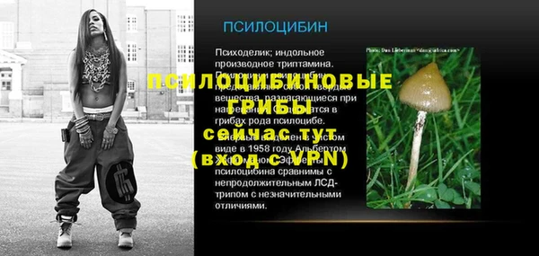 прущие грибы Ельня