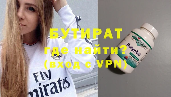 прущие грибы Ельня