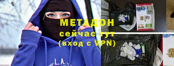 прущие грибы Ельня