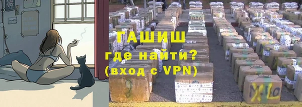 прущие грибы Ельня