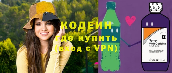 прущие грибы Ельня