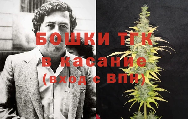прущие грибы Ельня