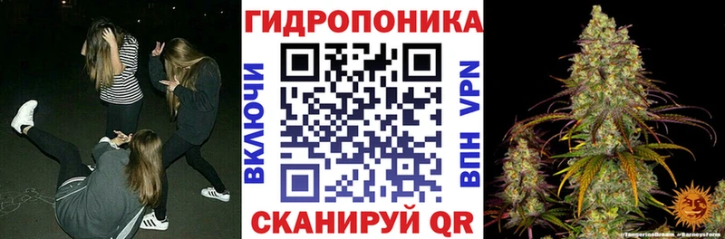 Каннабис ГИДРОПОН  Купить  Карабаново 